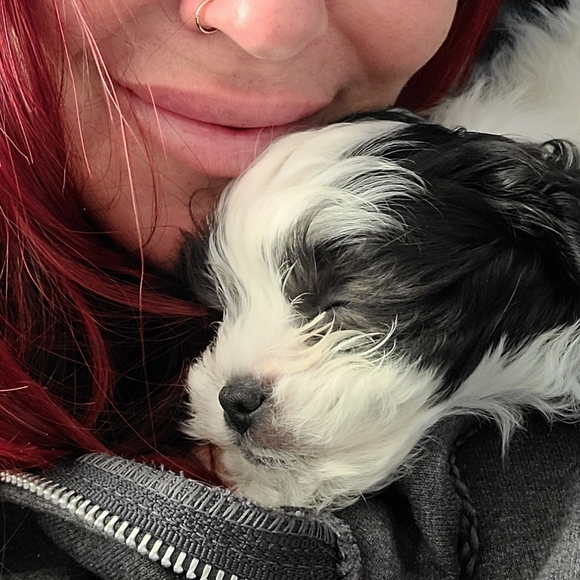 Meet your Posher, TC - Picture 5 of 12